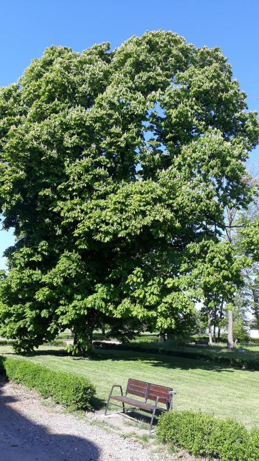 Dwor Strzyzew Bed & Breakfast Zelazowa Wola Bagian luar foto
