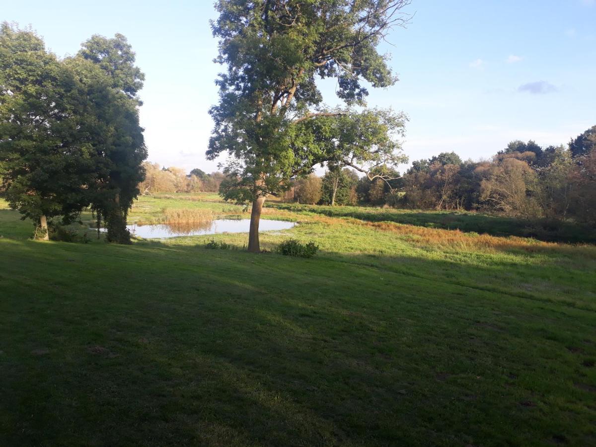 Dwor Strzyzew Bed & Breakfast Zelazowa Wola Bagian luar foto
