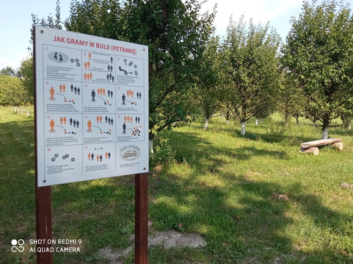 Dwor Strzyzew Bed & Breakfast Zelazowa Wola Bagian luar foto