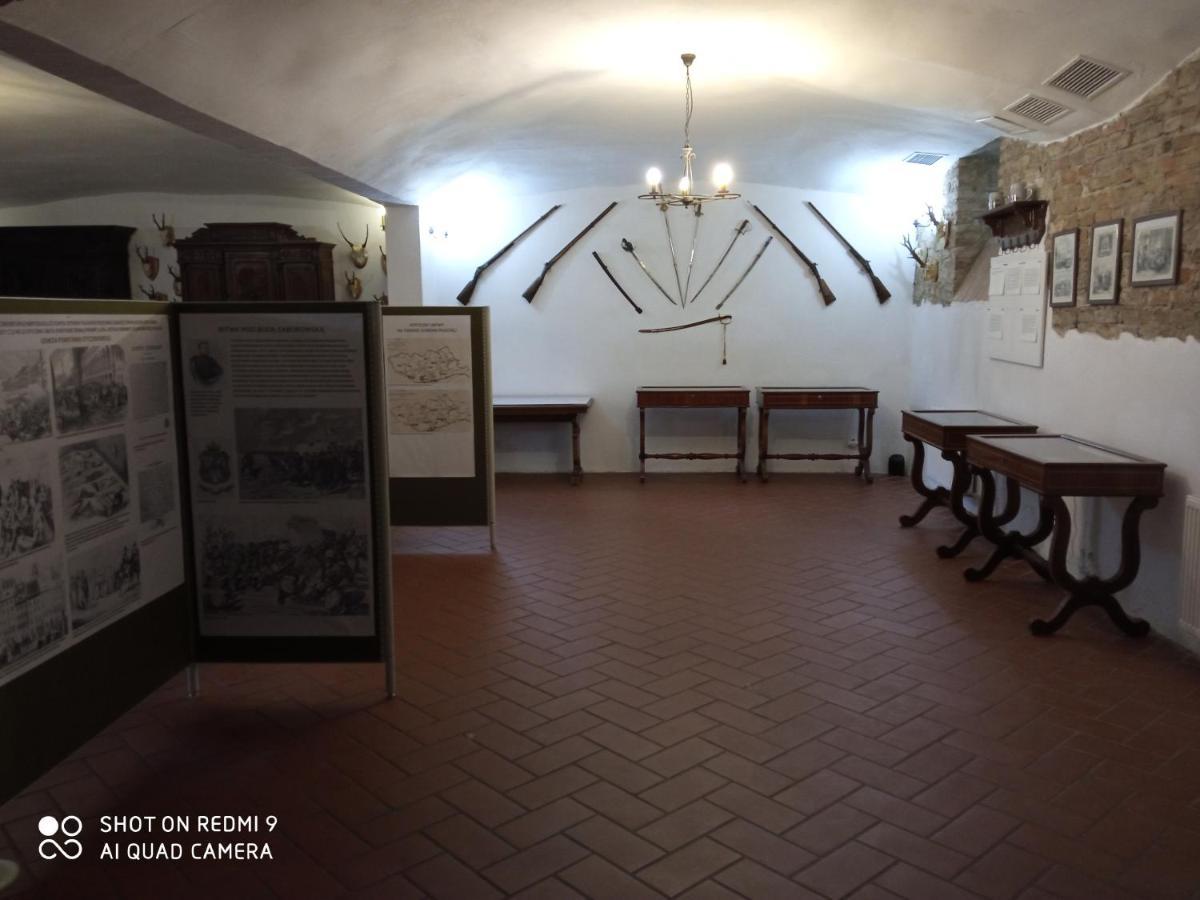 Dwor Strzyzew Bed & Breakfast Zelazowa Wola Bagian luar foto